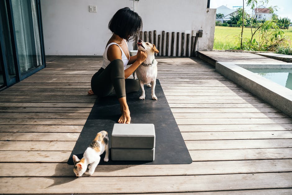 Katzen, die landen auf ihren Füßen nach einem Sprung