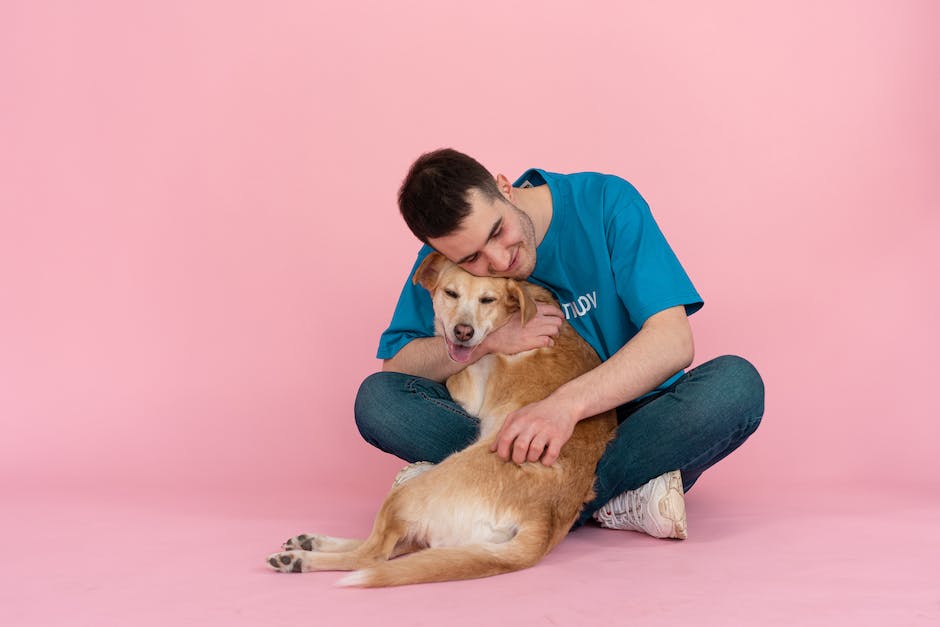 Hund teilt Bindung mit Besitzer durch Kopf auf Fuß legen