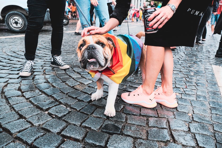 Warum mein Hund an meinen Füßen liegt