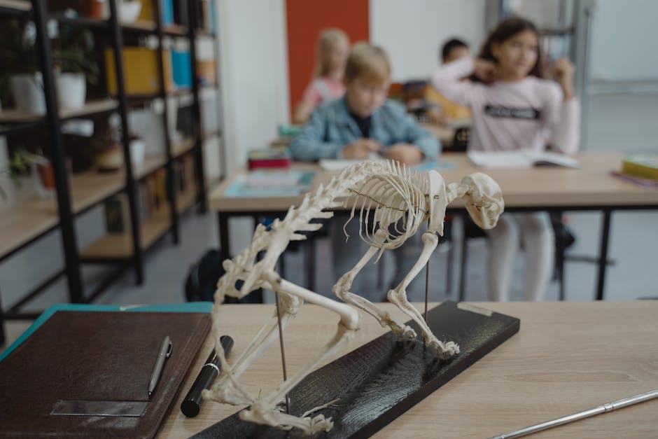 Knochenmarködem im Fuß behandeln