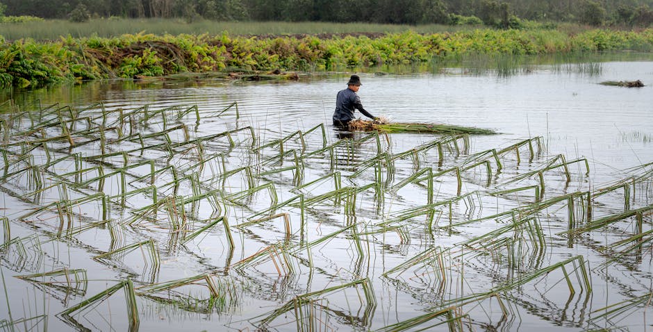  Behandlung von Wasseraufnahme in den Füßen